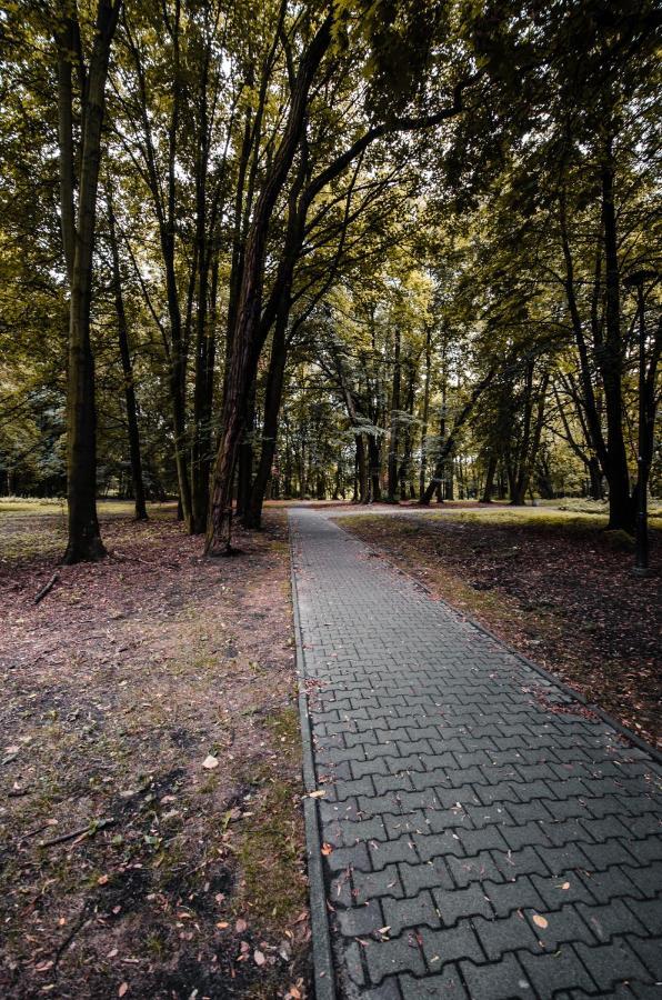 Apartament Deluxe Arcon Siemianowice Śląskie Eksteriør bilde